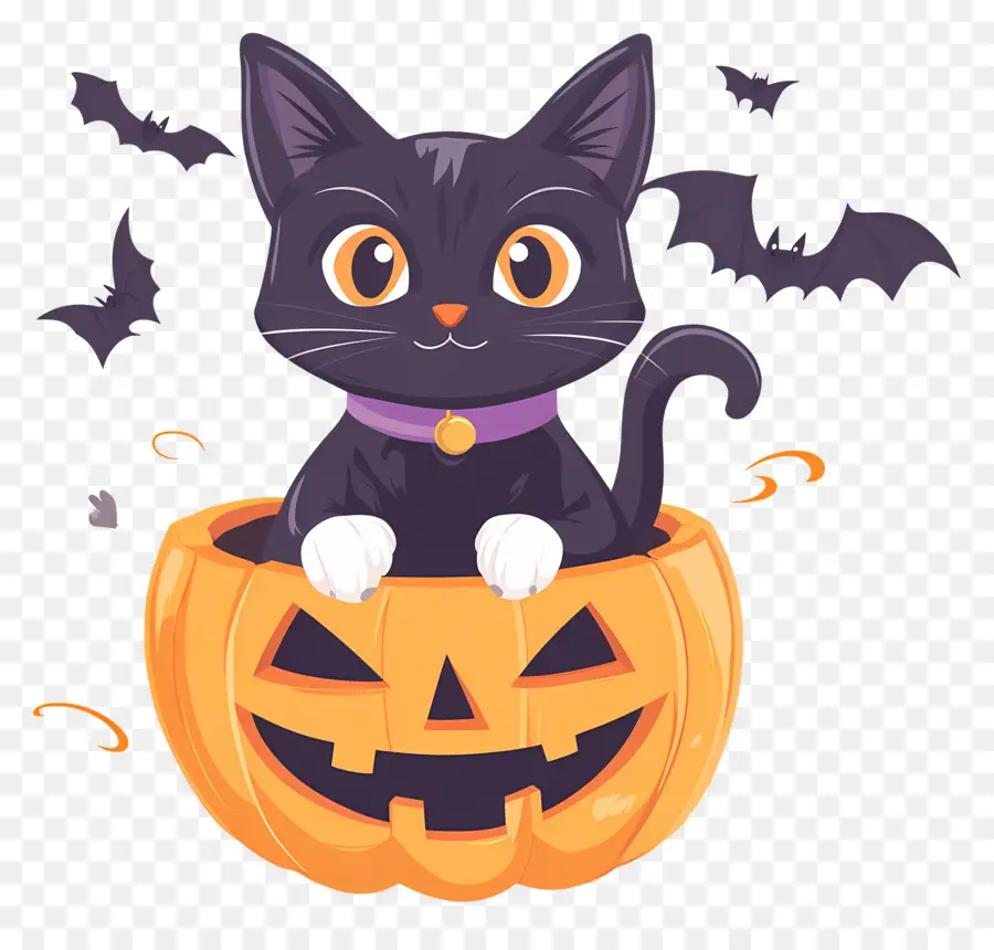 Gato Negro De Halloween，Gato En Calabaza PNG