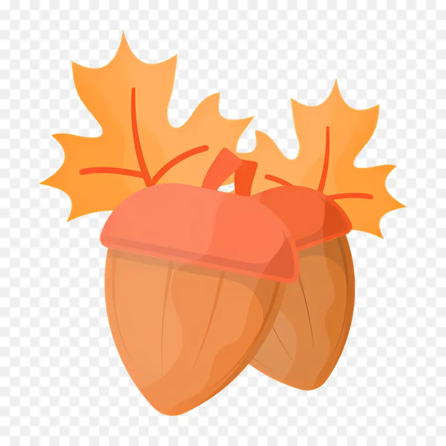 Bellotas，Hojas PNG