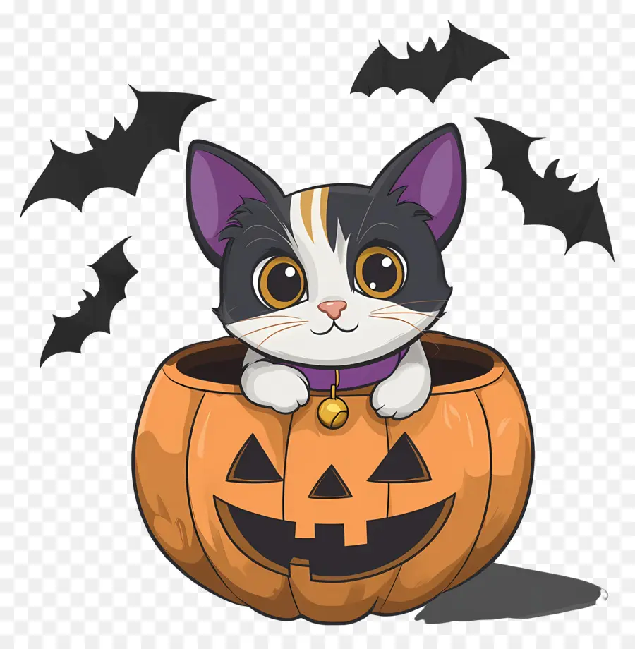 Gato De Halloween，Gato En Calabaza PNG