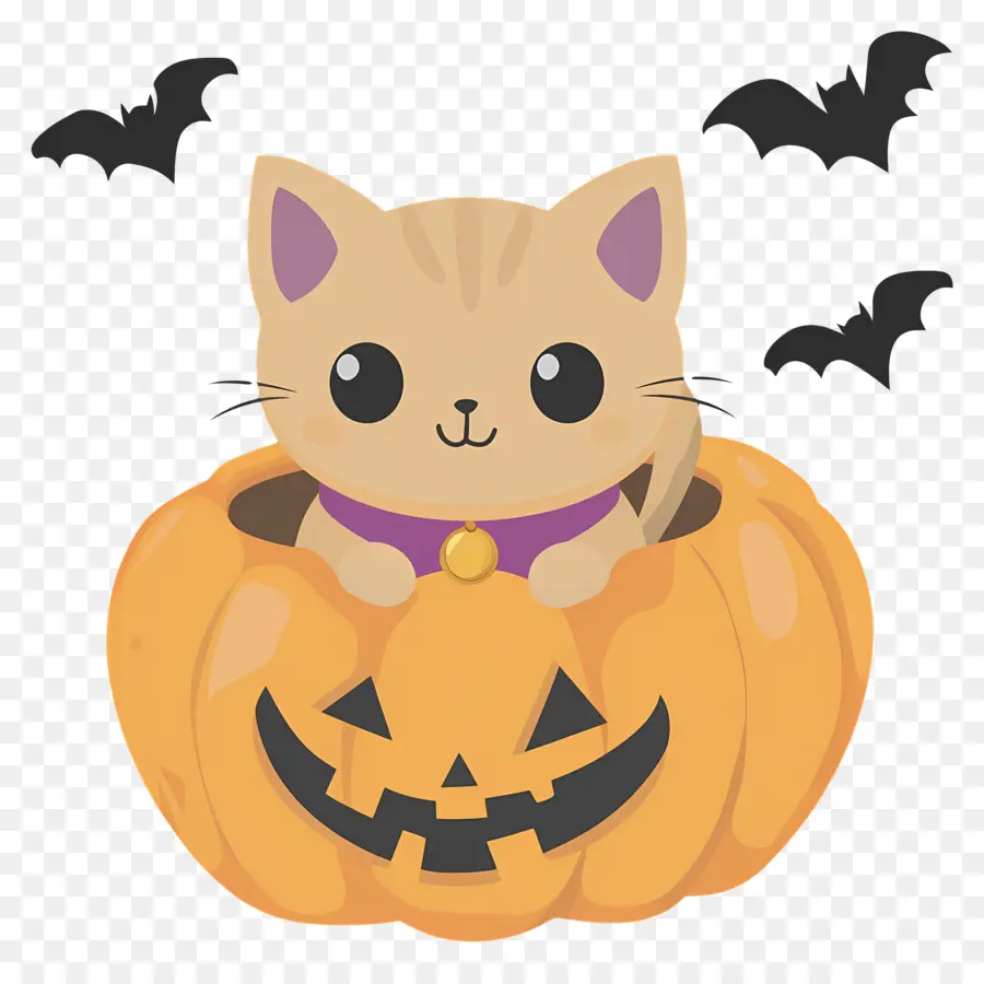 Gato De Halloween，Gato En Calabaza PNG