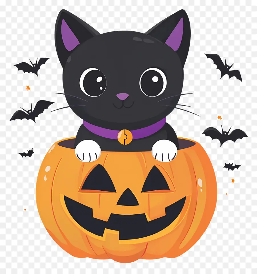 Gato Negro De Halloween，Gato En Calabaza PNG