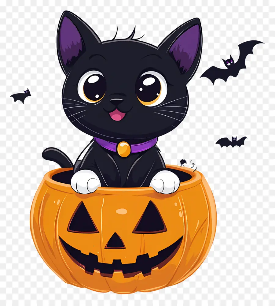 Gato Negro De Halloween，Gato En Calabaza PNG