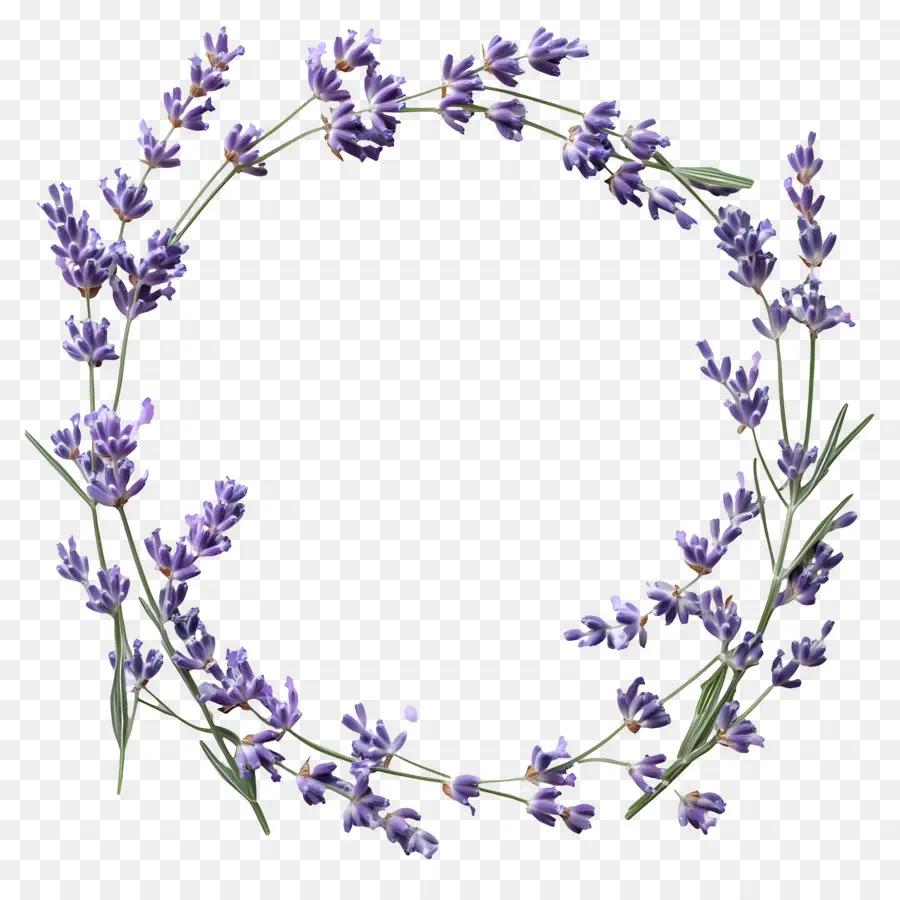 Marco Circular，Corona De Lavanda PNG