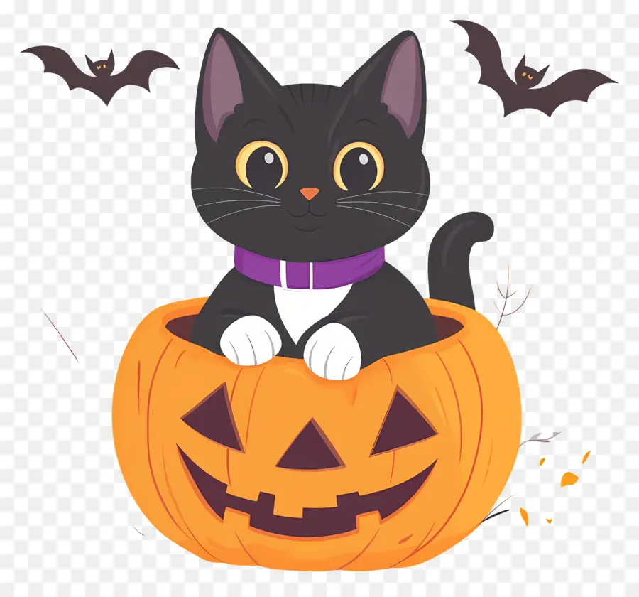 Gato Negro De Halloween，Gato En Calabaza PNG