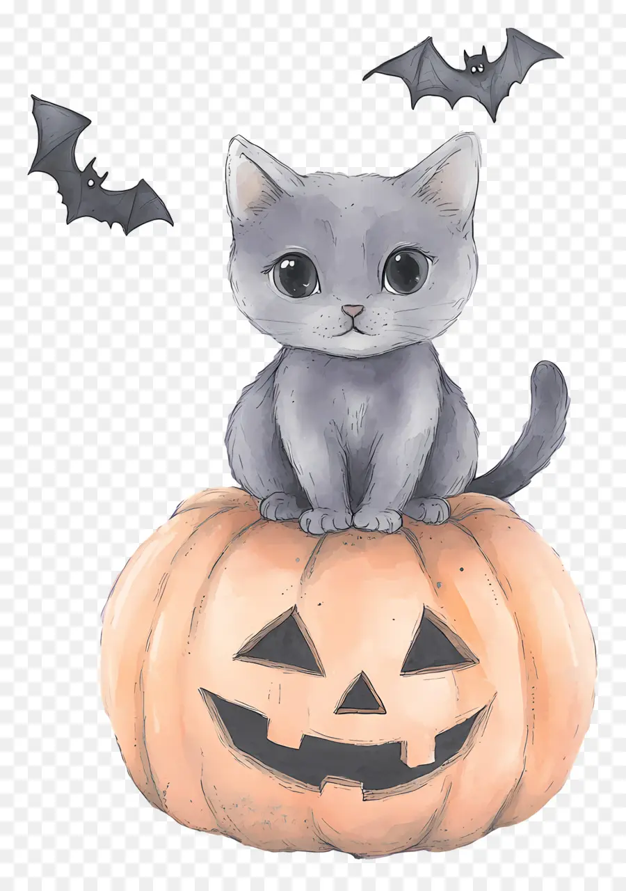 Gato De Halloween，Gato En Calabaza PNG