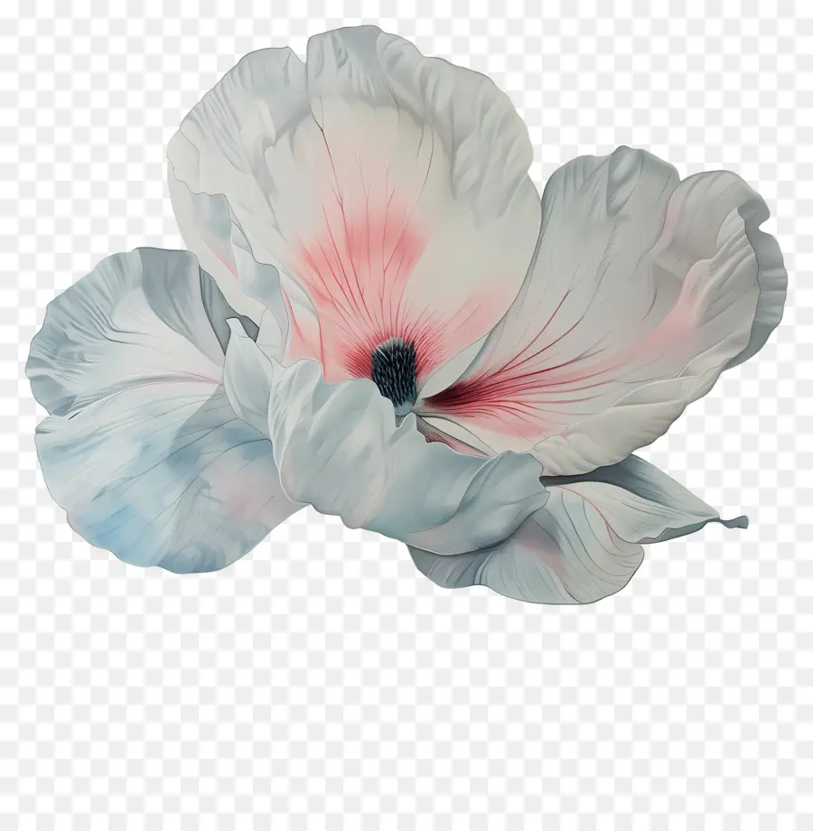 Flor Pastel，Flor De Hibisco PNG