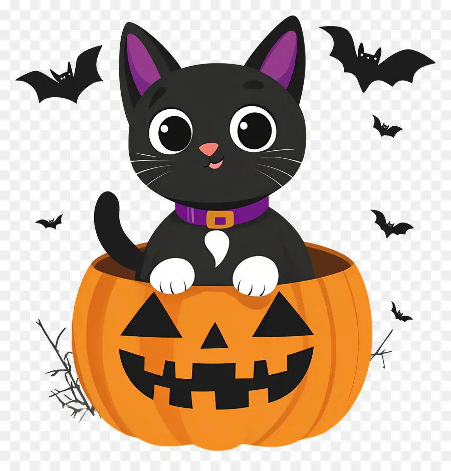 Gato Negro De Halloween，Gato En Calabaza PNG