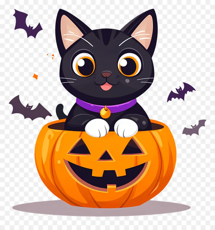 Gato Negro De Halloween，Gato En Calabaza PNG