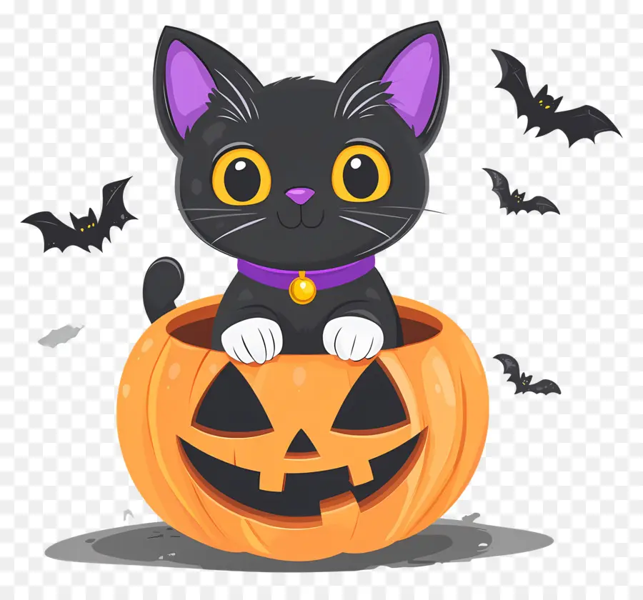 Gato Negro De Halloween，Gato En Calabaza PNG