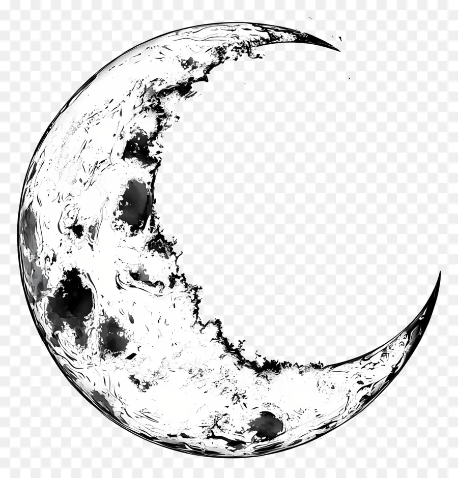 Contorno De La Luna，Luna Creciente PNG