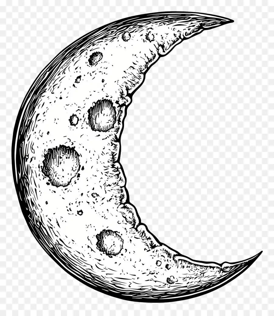 Contorno De La Luna，Bosquejo De La Luna Creciente PNG