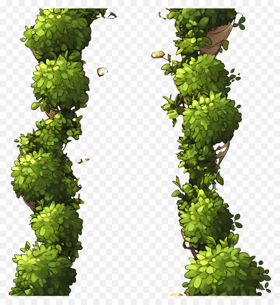 Plano De árbol，Vides Verdes PNG