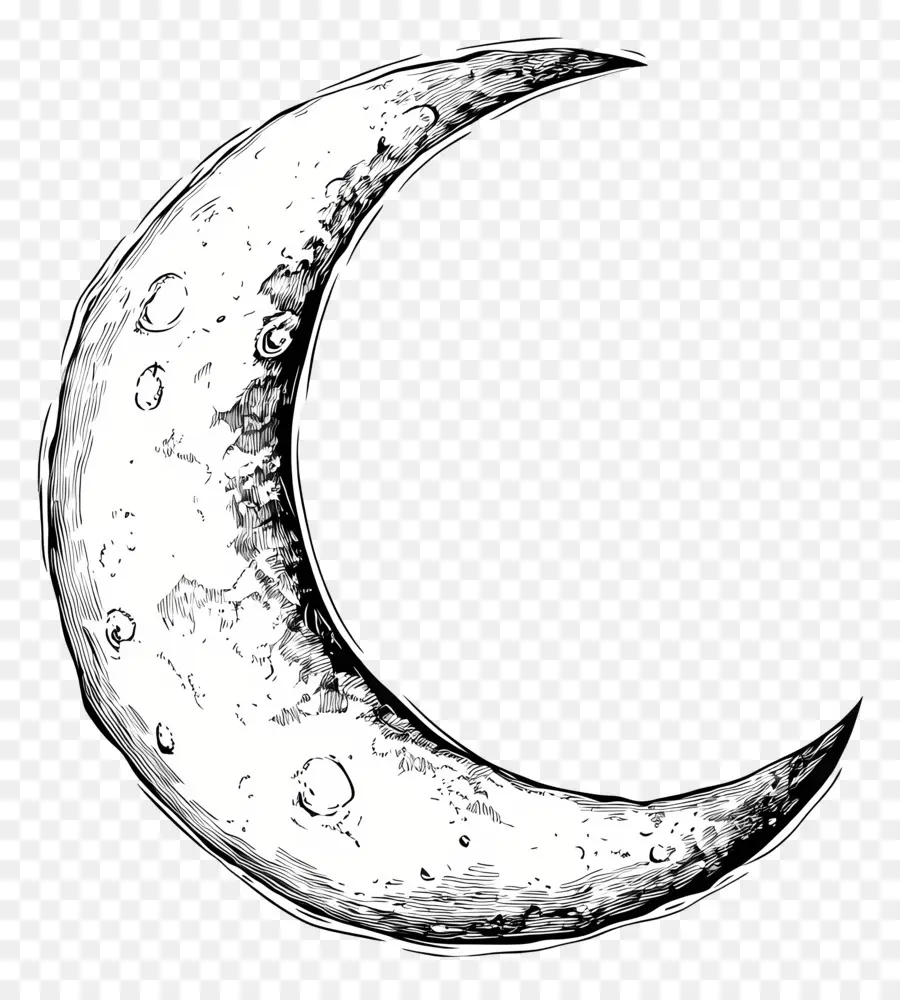 Contorno De La Luna，Luna Creciente PNG