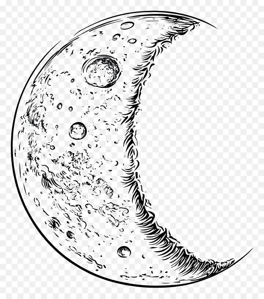 Contorno De La Luna，Luna Creciente PNG