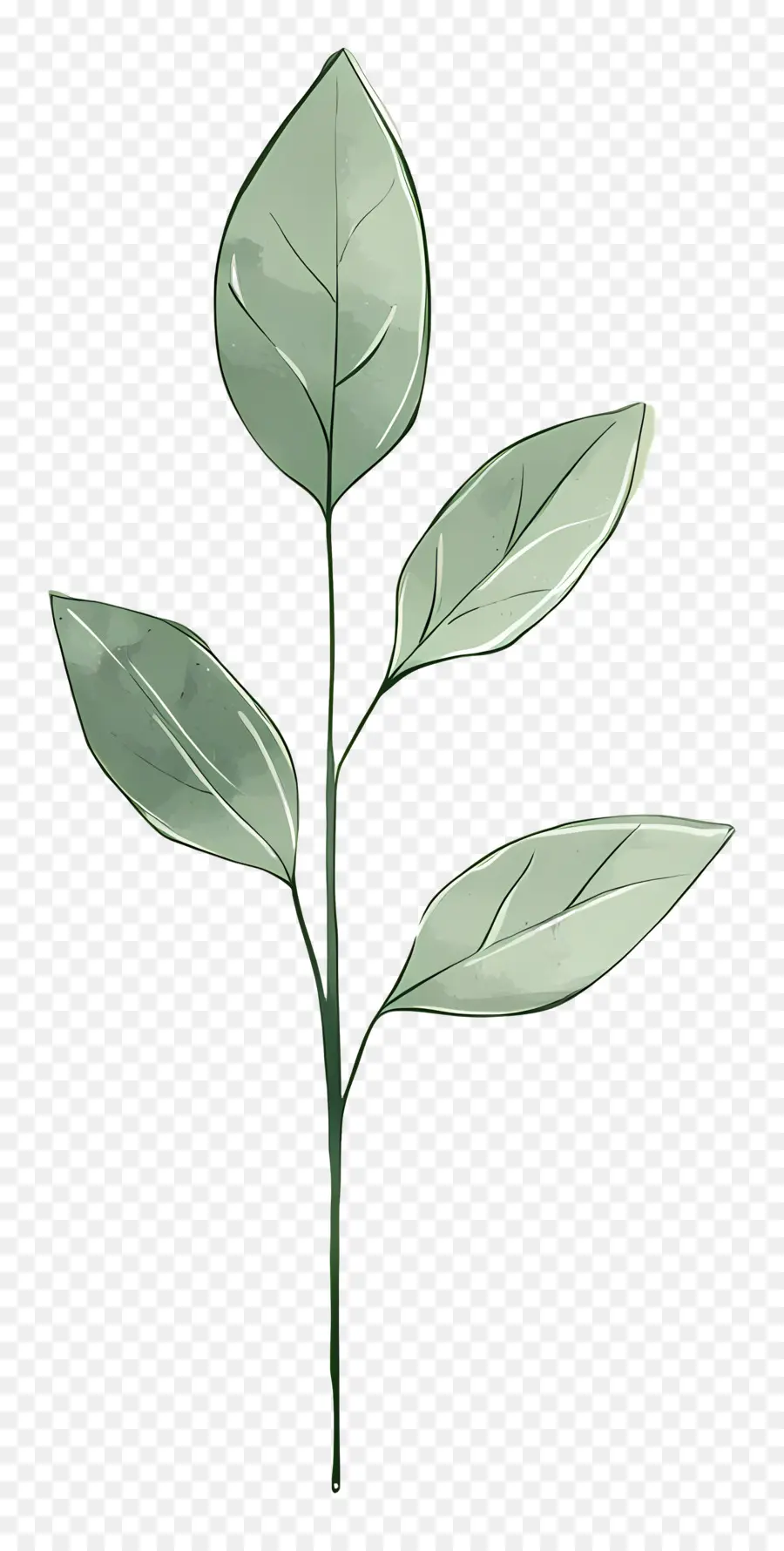 Planta Verde，Hojas Verdes PNG