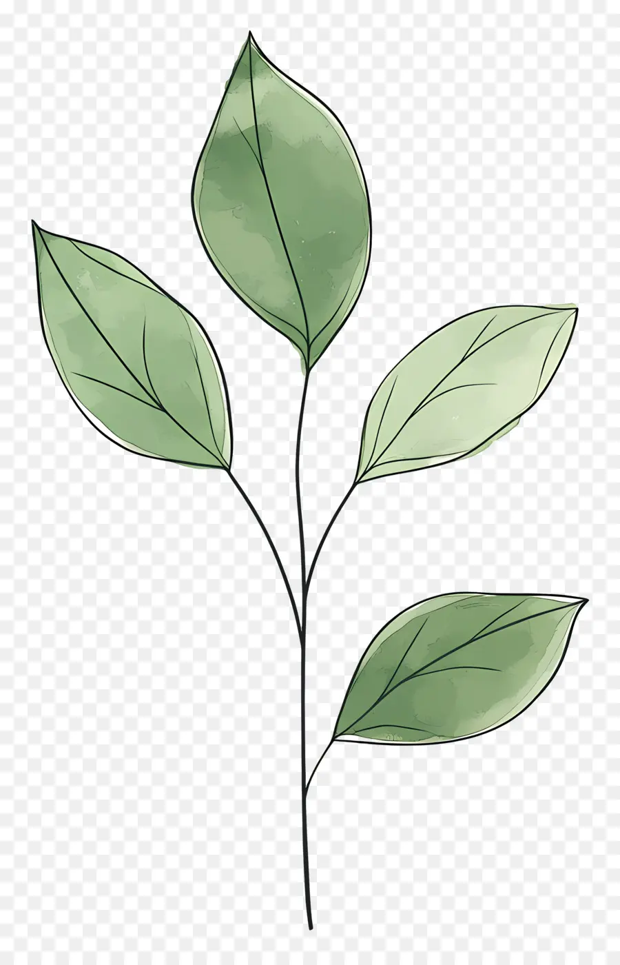 Planta Verde，Hojas Verdes PNG