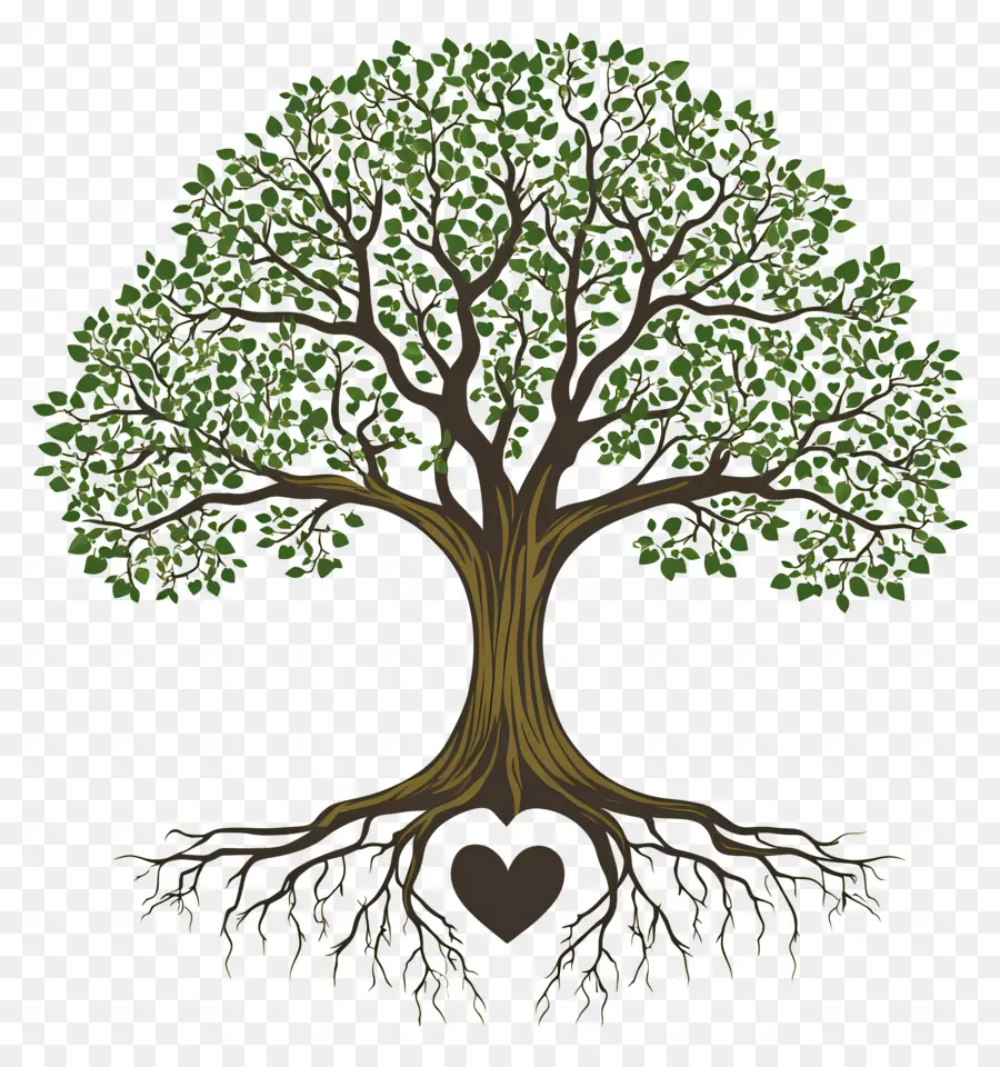 Roble Con Raíces，Árbol PNG