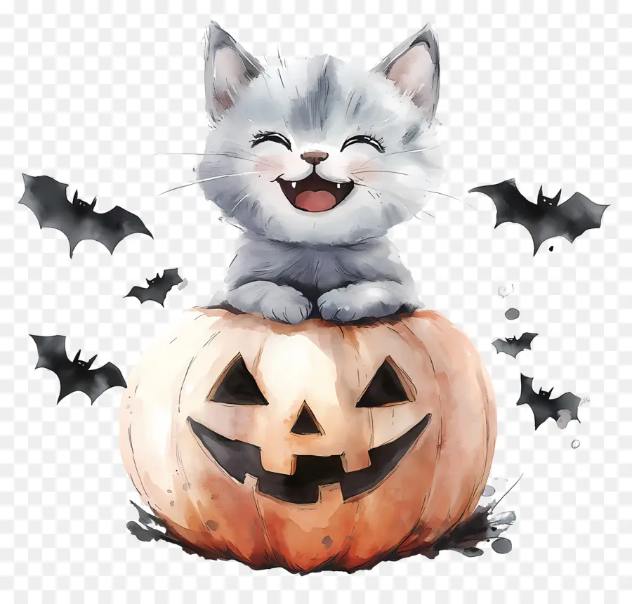 Gato De Halloween，Gato En Calabaza PNG