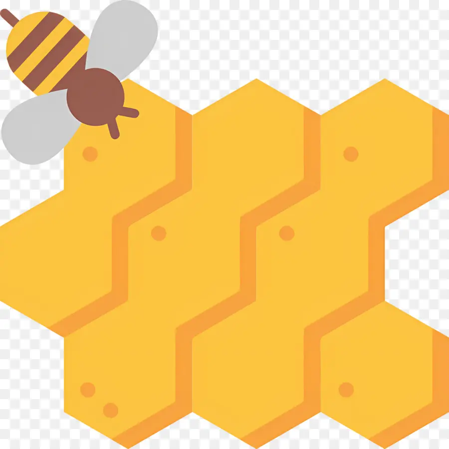 Miel De Abeja，Panal PNG