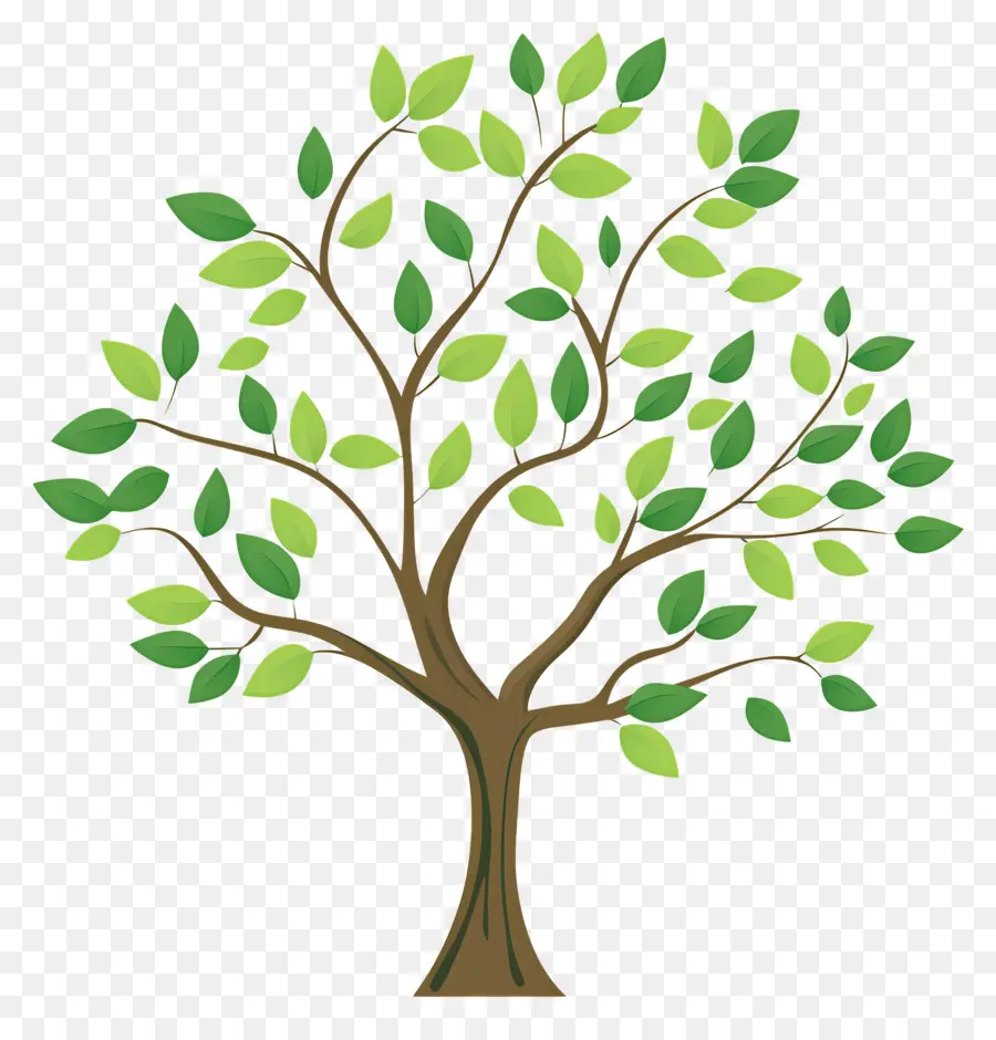 Arbol Sencillo，Árbol PNG