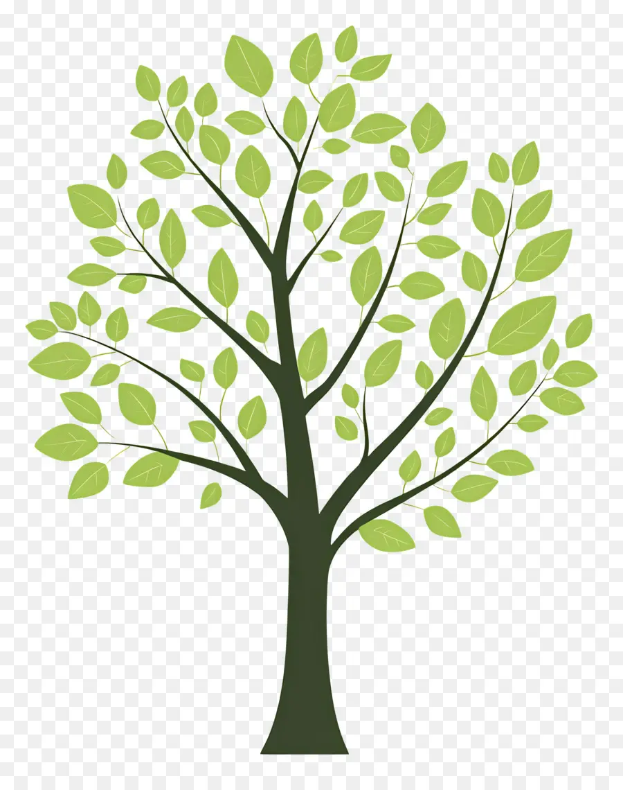 Arbol Sencillo，Árbol PNG