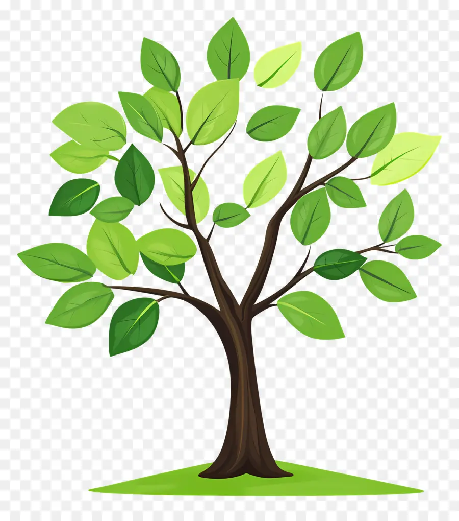 Arbol Sencillo，Árbol PNG