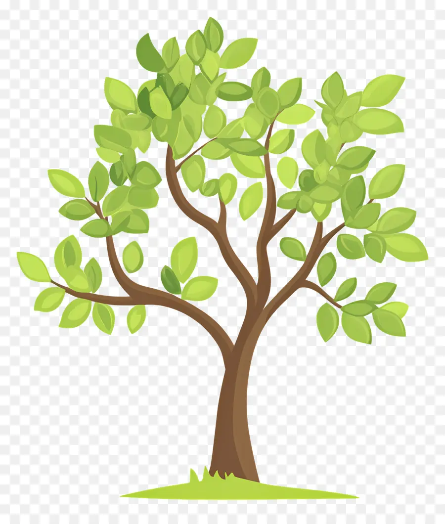 Arbol Sencillo，Árbol PNG