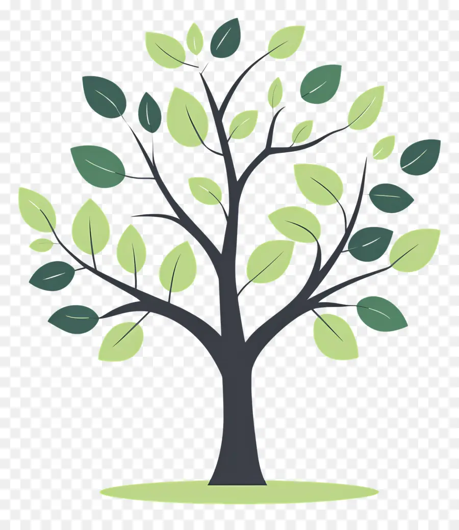 Arbol Sencillo，Árbol PNG