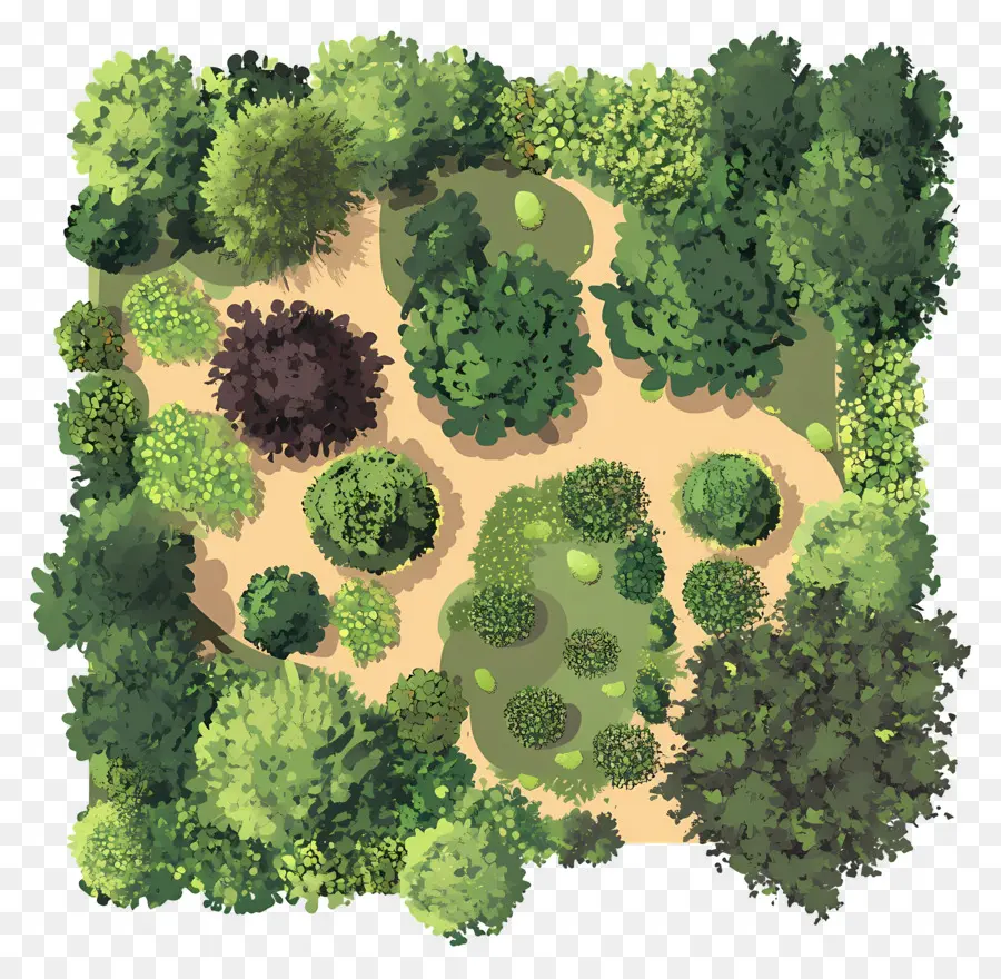 Plano Del Arbol Del Jardin，Jardín PNG