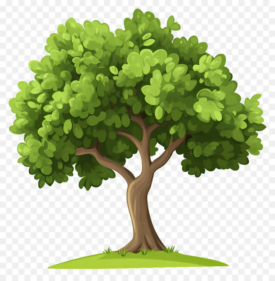 árbol Denso，árboles De Dibujos Animados PNG