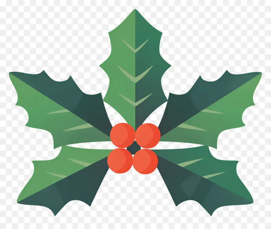 Acebo De Navidad，Acebo PNG