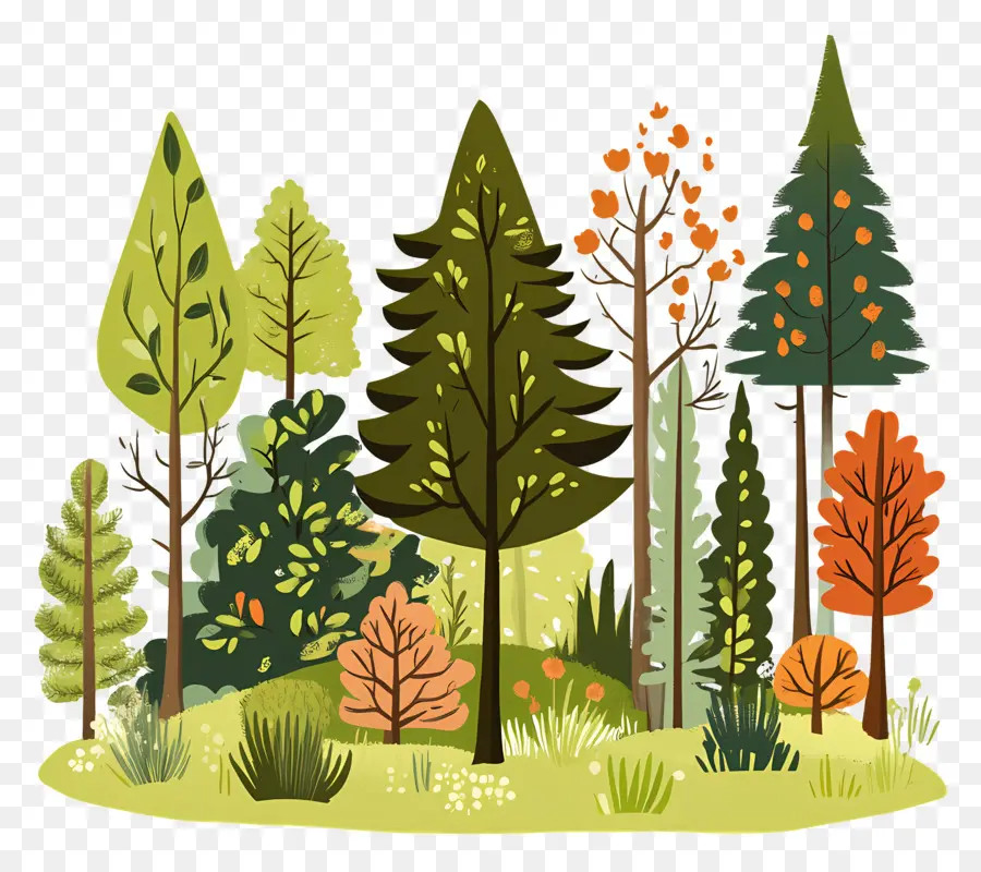 Bosque Denso，Bosque PNG