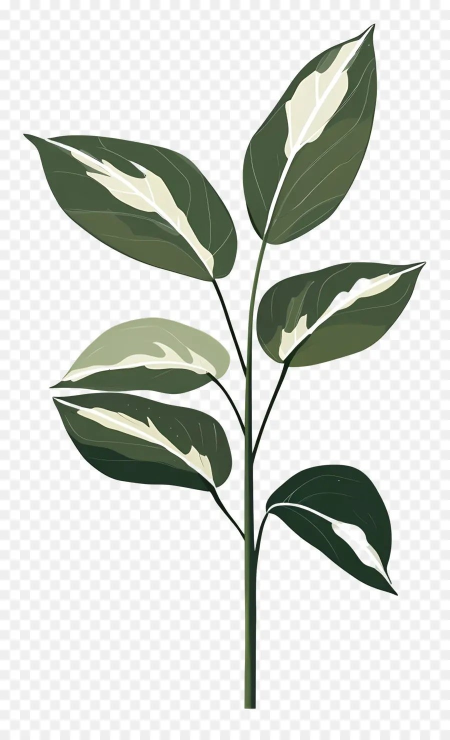 Planta Verde，Hojas Verdes PNG