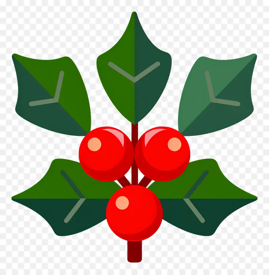 Acebo De Navidad，Acebo PNG