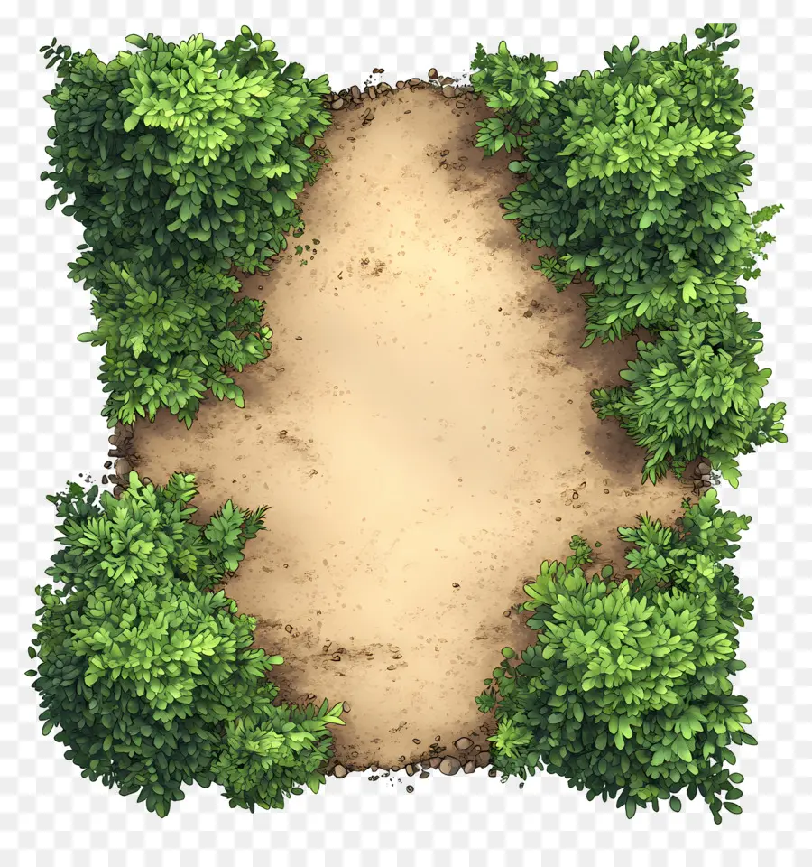 Plano De árbol，Arbustos PNG