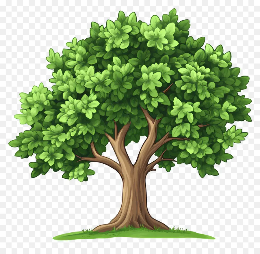 árbol Denso，Árbol PNG