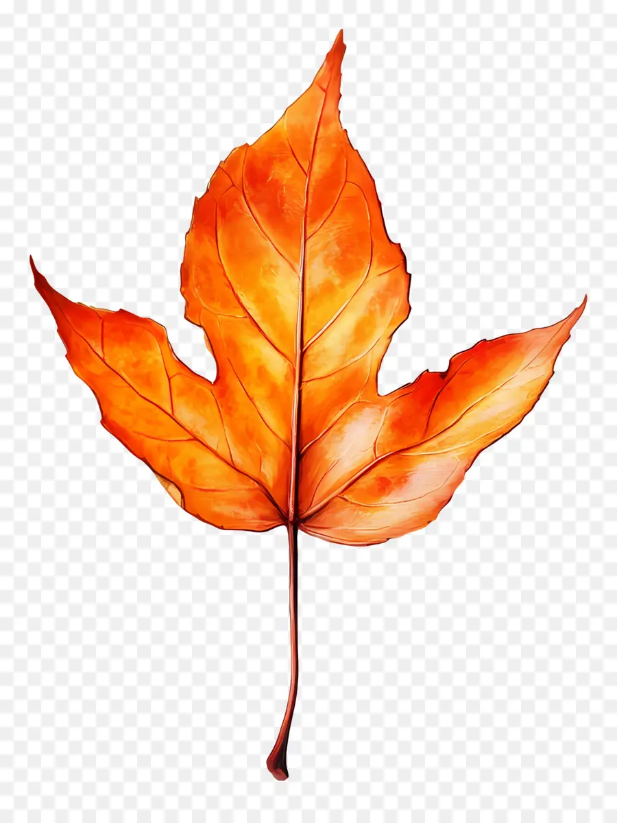 Hoja De Otoño，Caer PNG