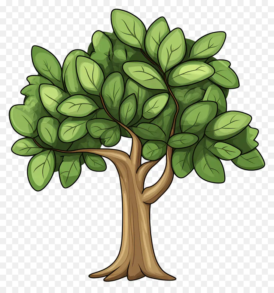 árbol Denso，Árbol PNG