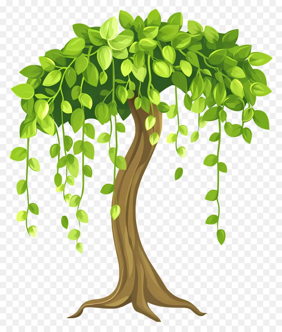 árbol Denso，Árbol PNG