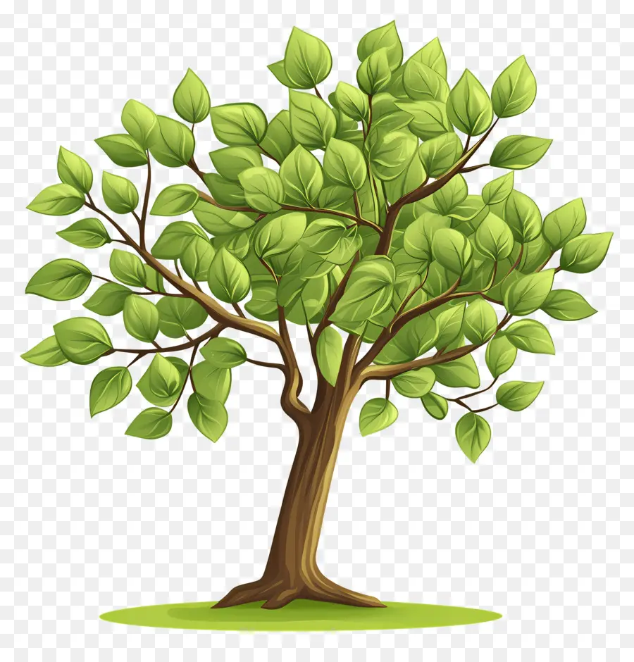 árbol Denso，Árbol PNG