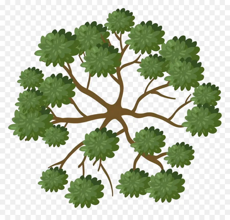 Plano De árbol，Árbol PNG