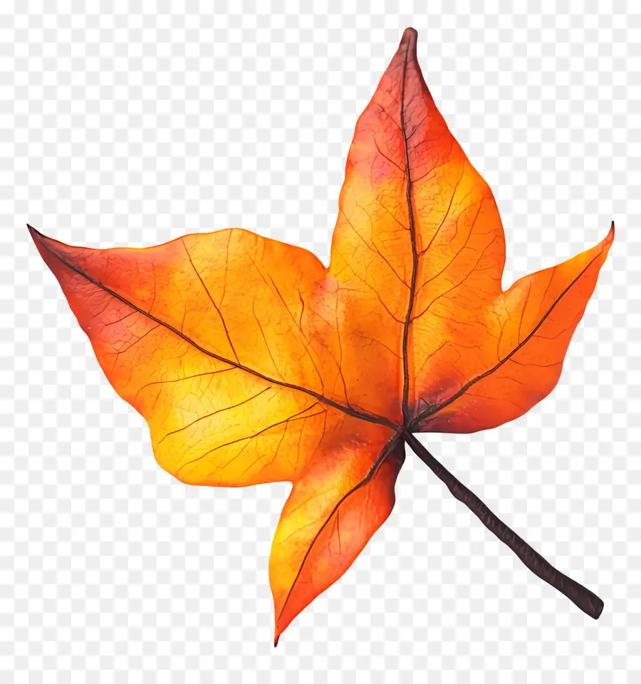 Hoja De Otoño，Caer PNG