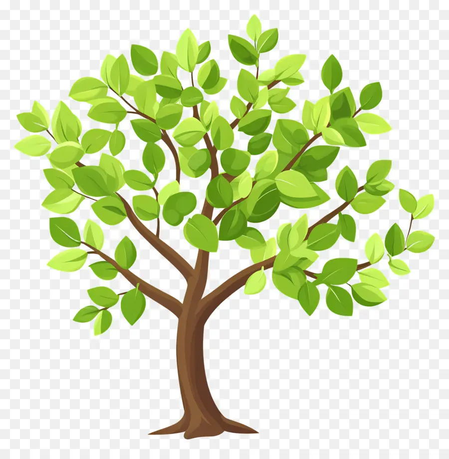 árbol Denso，Árbol PNG