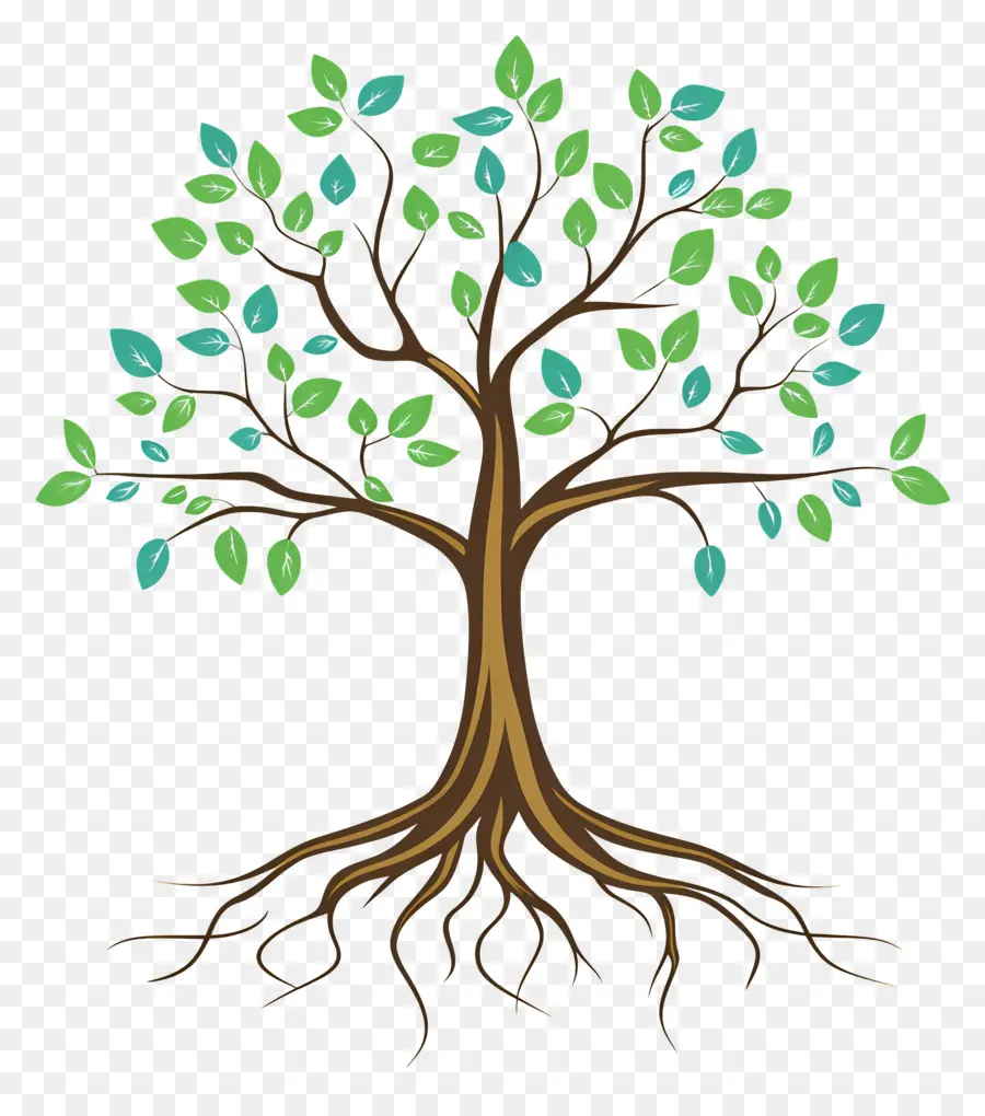 árbol Con Raíces，Árbol PNG