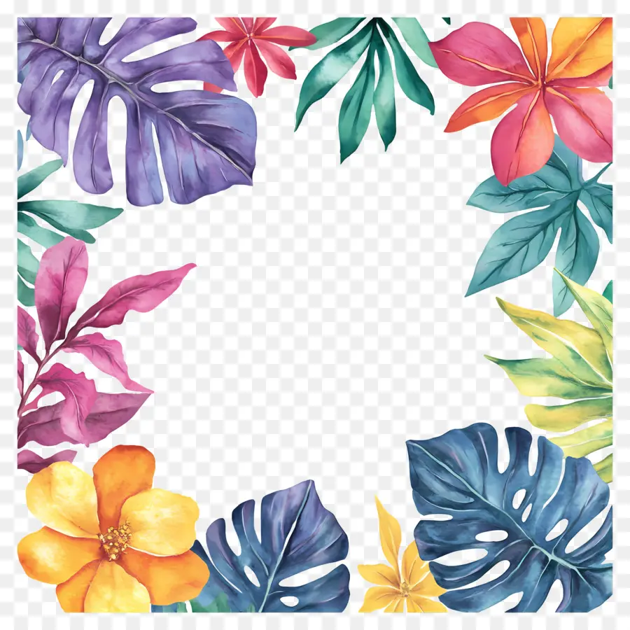 Marco Floral Tropical，Marco Colorido PNG