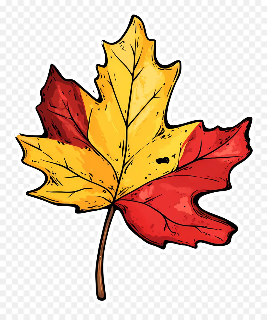 Hoja De Otoño，Caer PNG