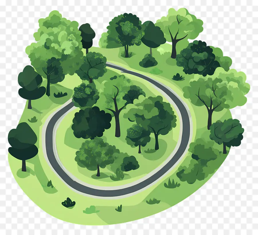 Bosque Denso，Bosque PNG