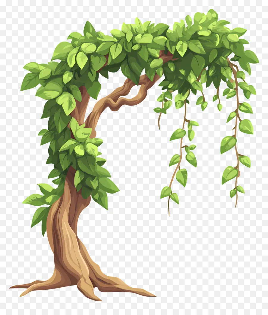 árbol Denso，Árbol PNG