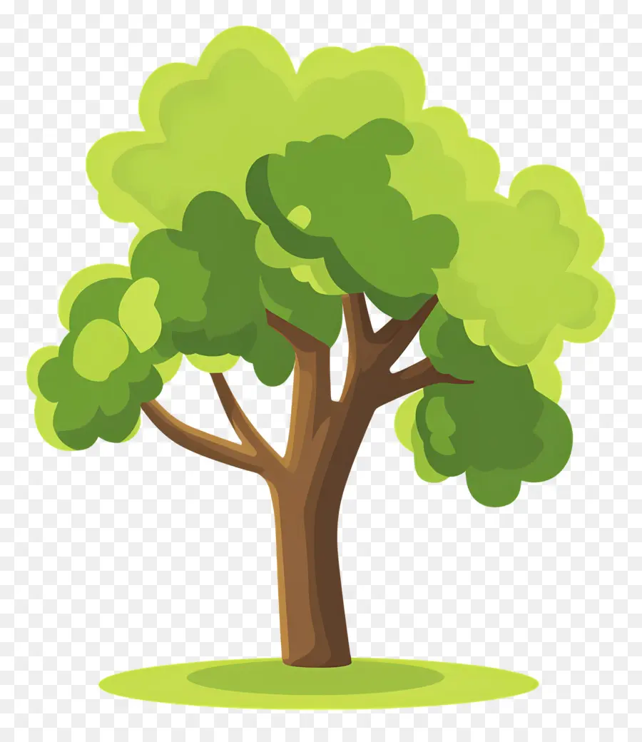 árbol Denso，Árbol PNG