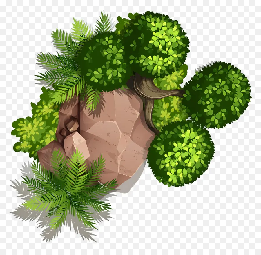 Plano De árbol，Roca Con Plantas PNG